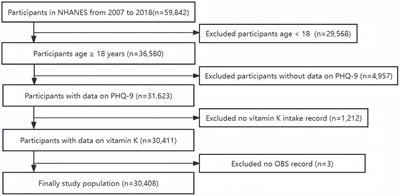 Assessing the role of antioxidant and pro-oxidant balance in mediating the relationship between vitamin K intake and depressive symptoms in adults